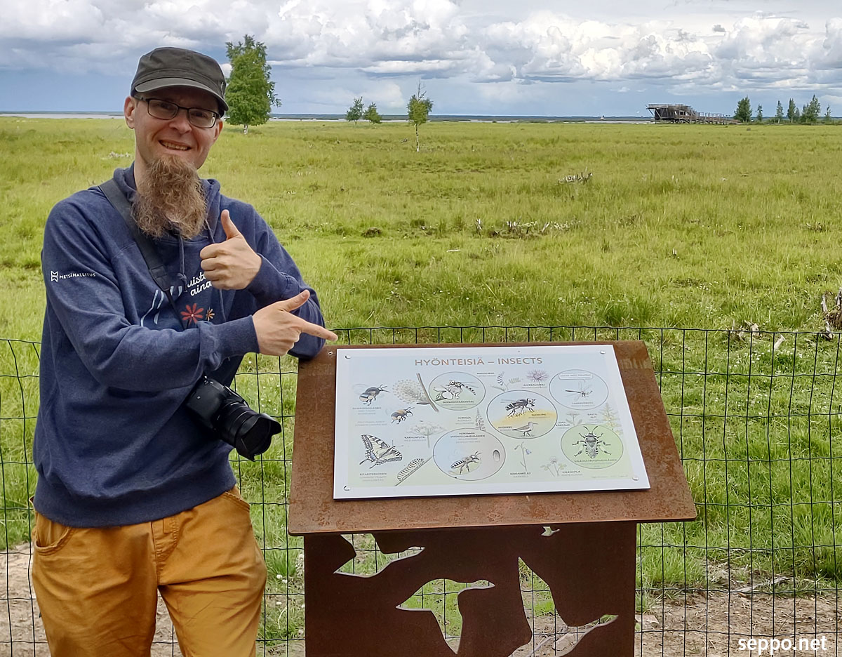 sepponet's tweet photo. Nature guide Ismo Lampi presents new #nature #trail posters made by me &amp; @naattinet at #LiminkaBay Finland, one of Europe’s most important #bird areas. Tens of thousands of birds stop to rest &amp; feed here.
https://t.co/sqLh6FifnN
#wetland #birds #Ramsar @LiminganKunta @WetlandLink https://t.co/M1RwLXU1Bk