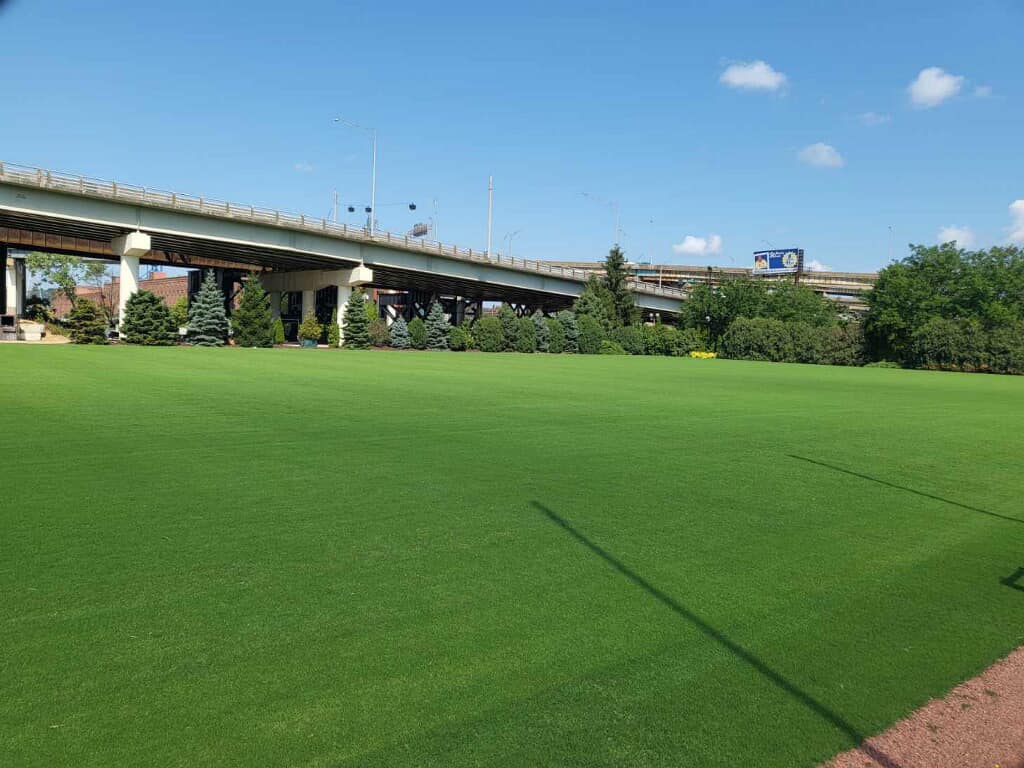 Our Northbridge bermudagrass is looking absolutely perfect on the Bengals practice field in Cincy! Who dey