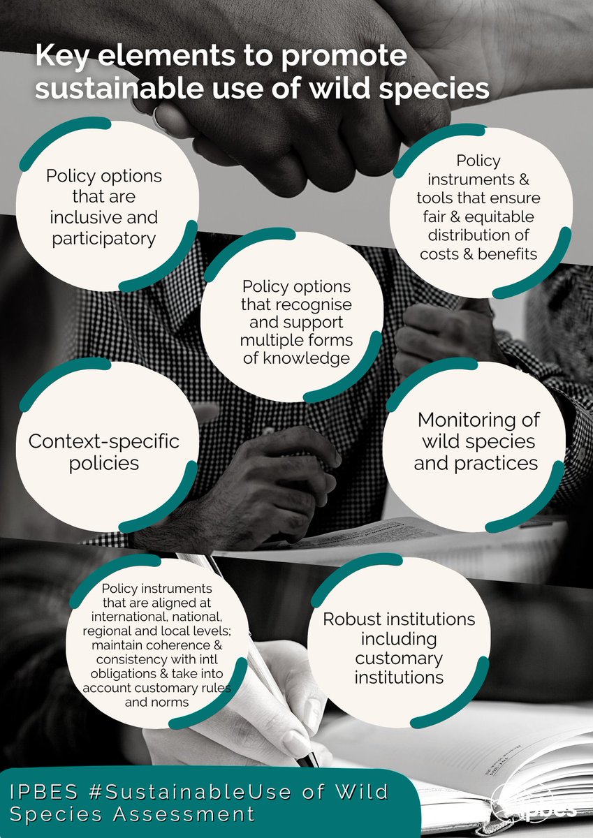 UN Biodiversity tweet media