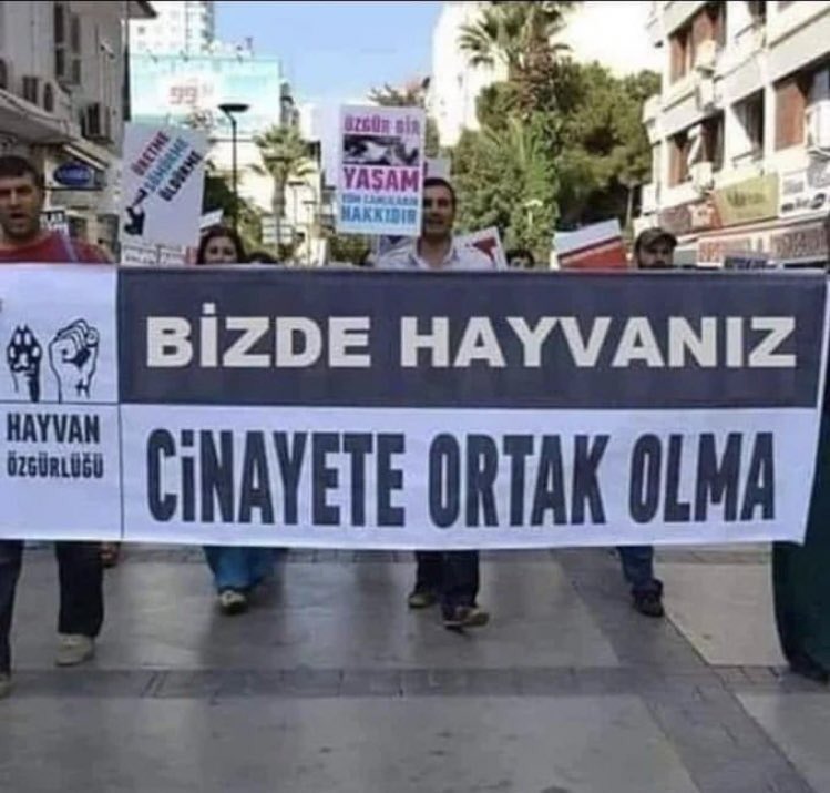 Dinimize göre iki ayaklı hayvandan kurban olmaz ama keşke olsaydı..!!