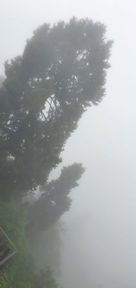 Ruchi Mohan tweet media