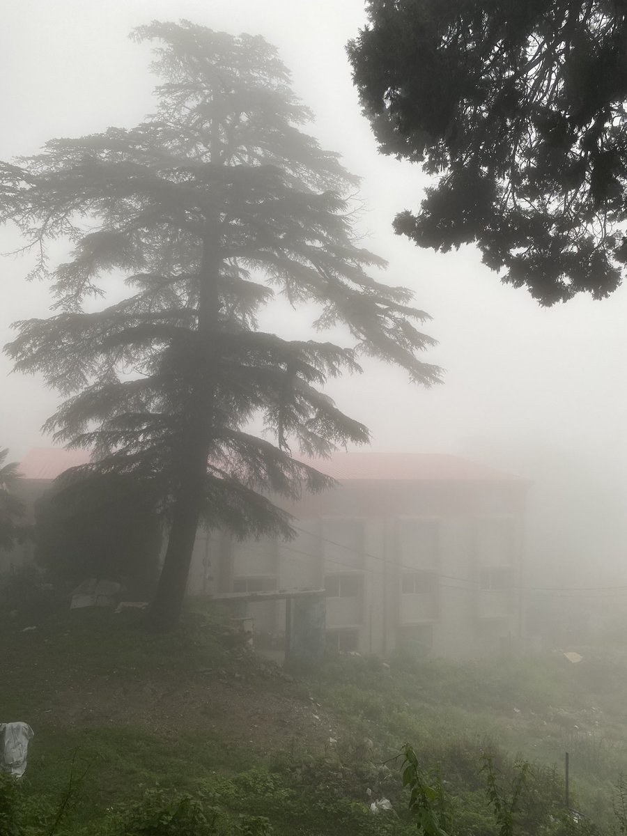 Ruchi Mohan tweet media