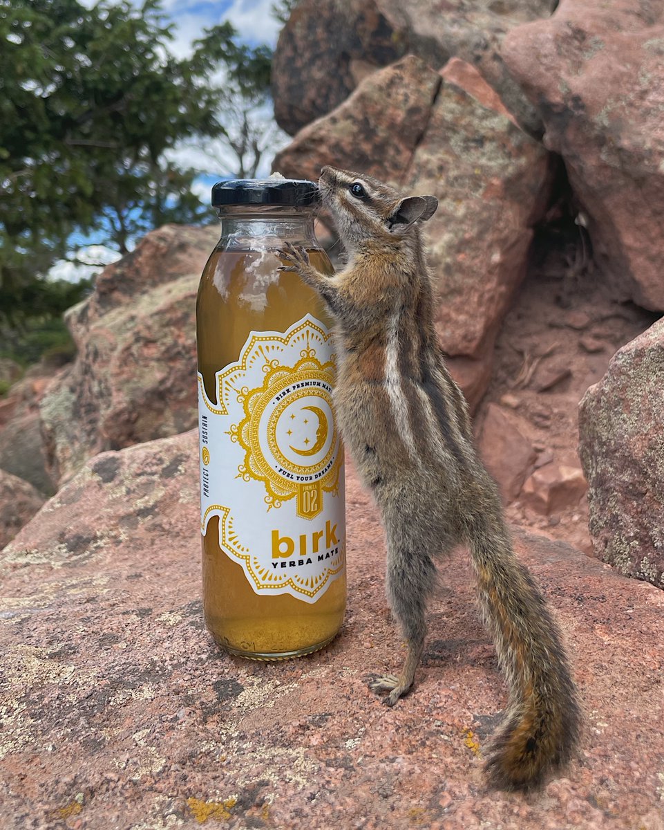DrinkBirk's tweet photo. Birk — chipmunk approved ✅🐿

#DrinkBirk #FuelYourDreams https://t.co/AvnP5LDmna