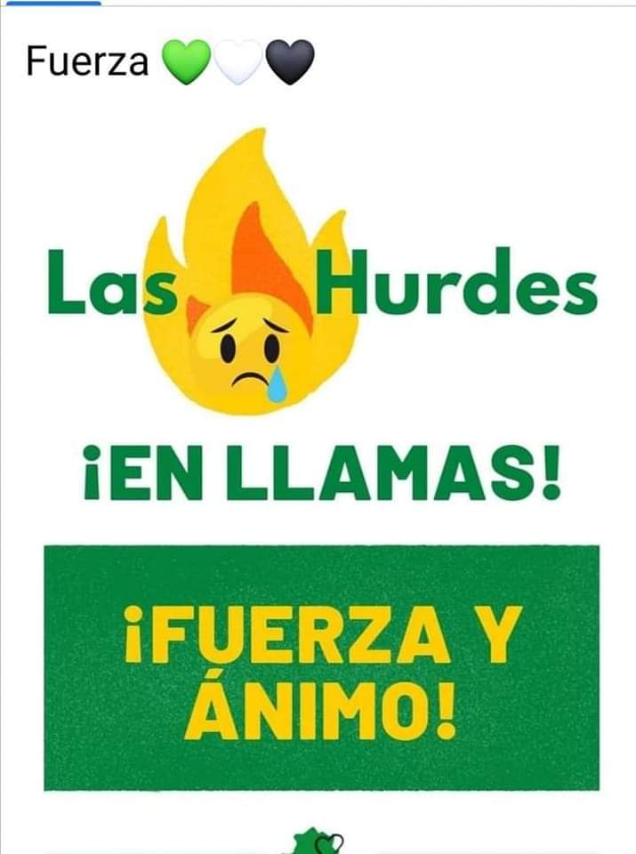 BRIF_PINO's tweet image. 