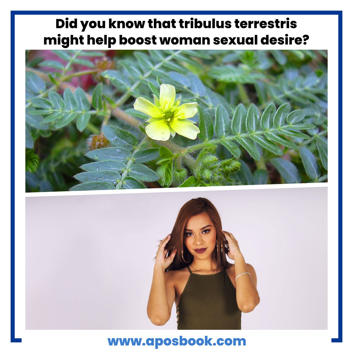 Apos_Book's tweet image. Do you have a low sexual desire and want to boost libido? Learn everything about Tribulus terrestris for low libido: aposbook.com/condition-natu…

#aposbook #tribulusterrestris #Tribulus #lowlibido #sexualdesire #naturalsolution #naturalmedicine #naturalcure #herbal