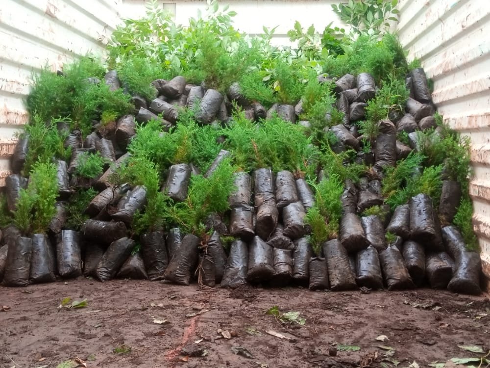 BRANDON62074094's tweet photo. The ttrue meaning of life is to plant trees,under whose shade you do not expect to sit. Love is like a tree,it grows of its own accord.
@evakimathi 
@Dedankm 
@KeForestService 
@AfricaGreens 
@KeEquityBank 
@kdfinfo
@CKL 
#DKFNakuru
#1milliontrees4Teddy
#Ragia
#Trees4betterlife https://t.co/IkAHnXBdfo