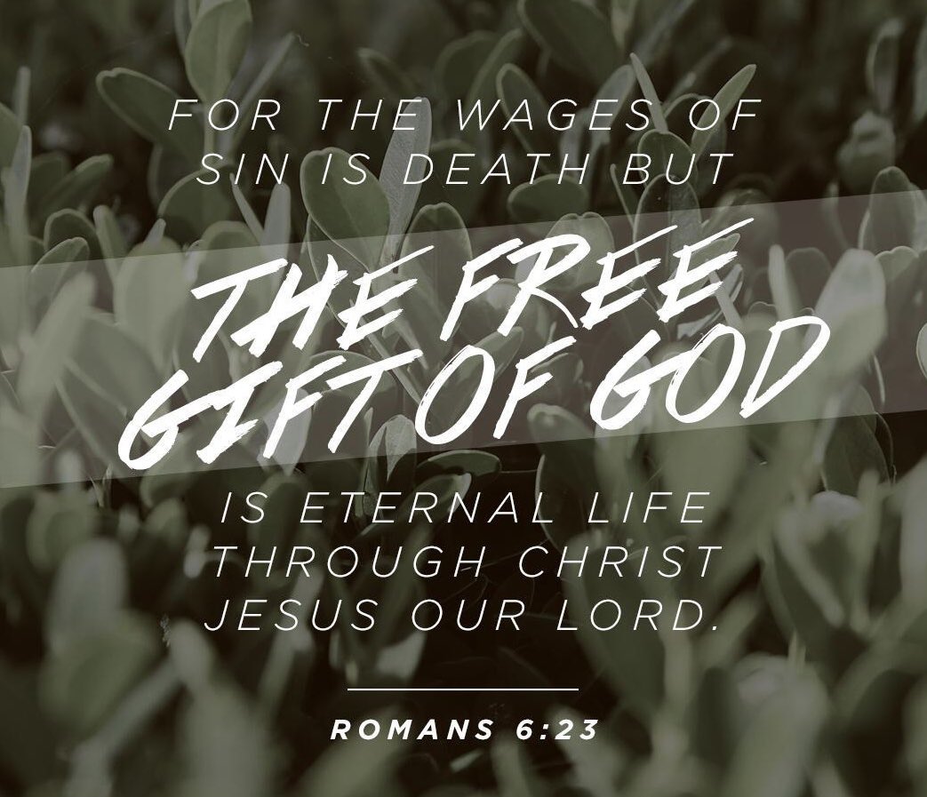 thomasloman's tweet photo. #Romans #Fearless #MemoryVerse https://t.co/oQysL0tLtb