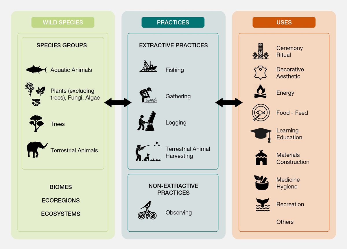 UN Biodiversity tweet media