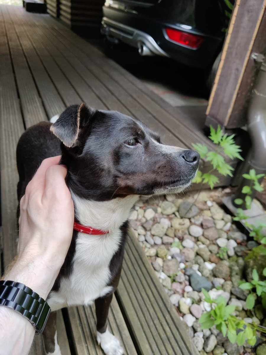 Rositirus's tweet image. 🤭❤️