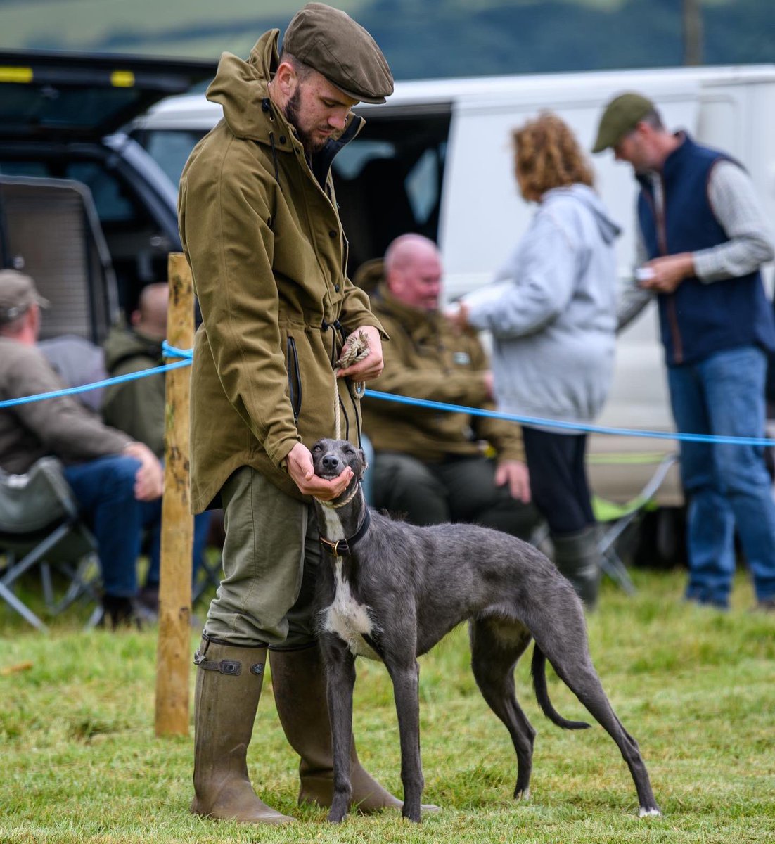lurcherwork's tweet photo. #lurchers #dogshow #brindle #roughcoat #countrylife https://t.co/ndprhzsZcy