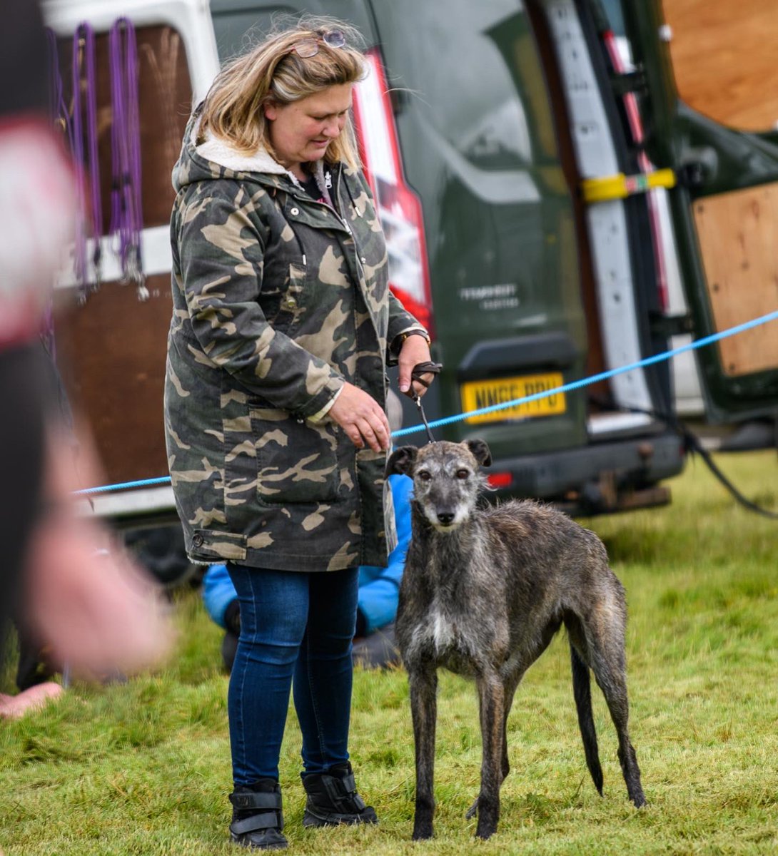 lurcherwork's tweet photo. #lurchers #dogshow #brindle #roughcoat #countrylife https://t.co/ndprhzsZcy