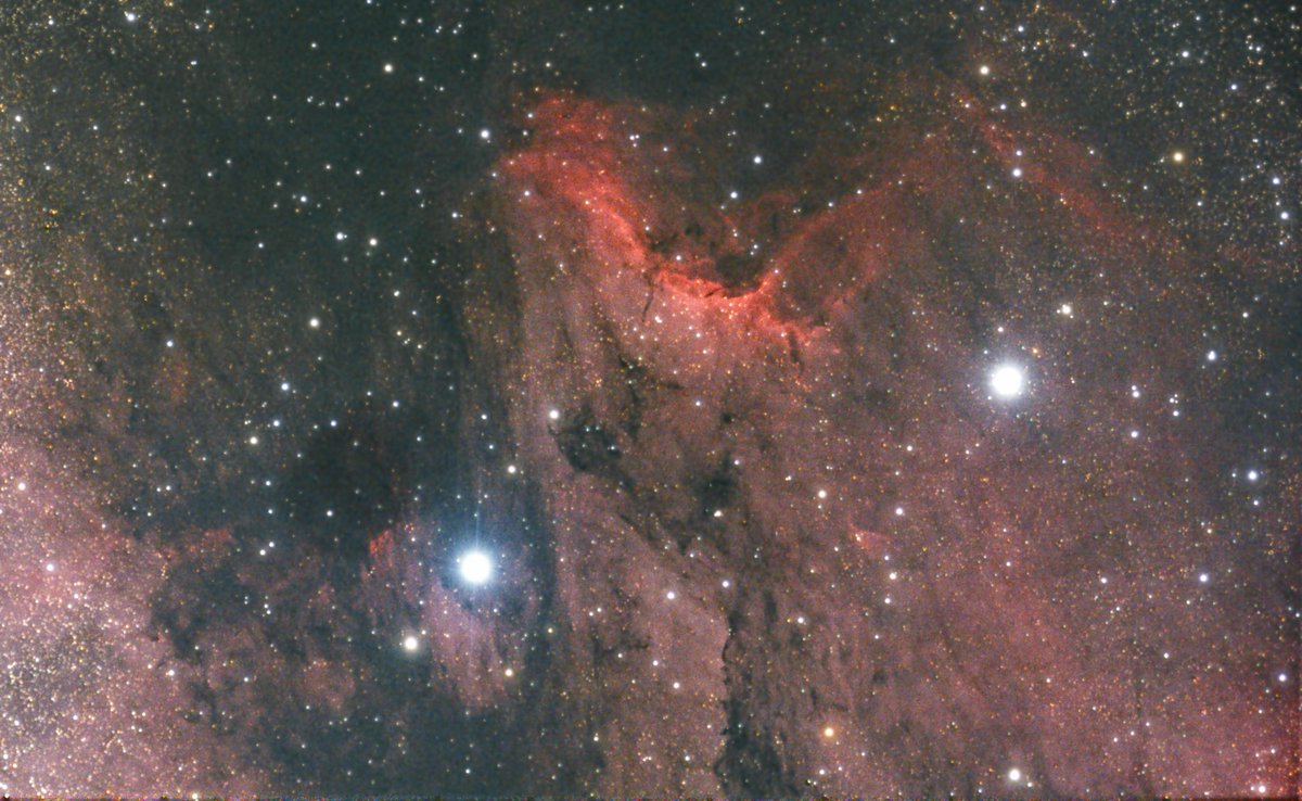 Gavin96641409's tweet photo. Pelican nebula, 3 hours exposure time 
#Astrophotography
#Nebula 
#Space https://t.co/zfgKhqIE49