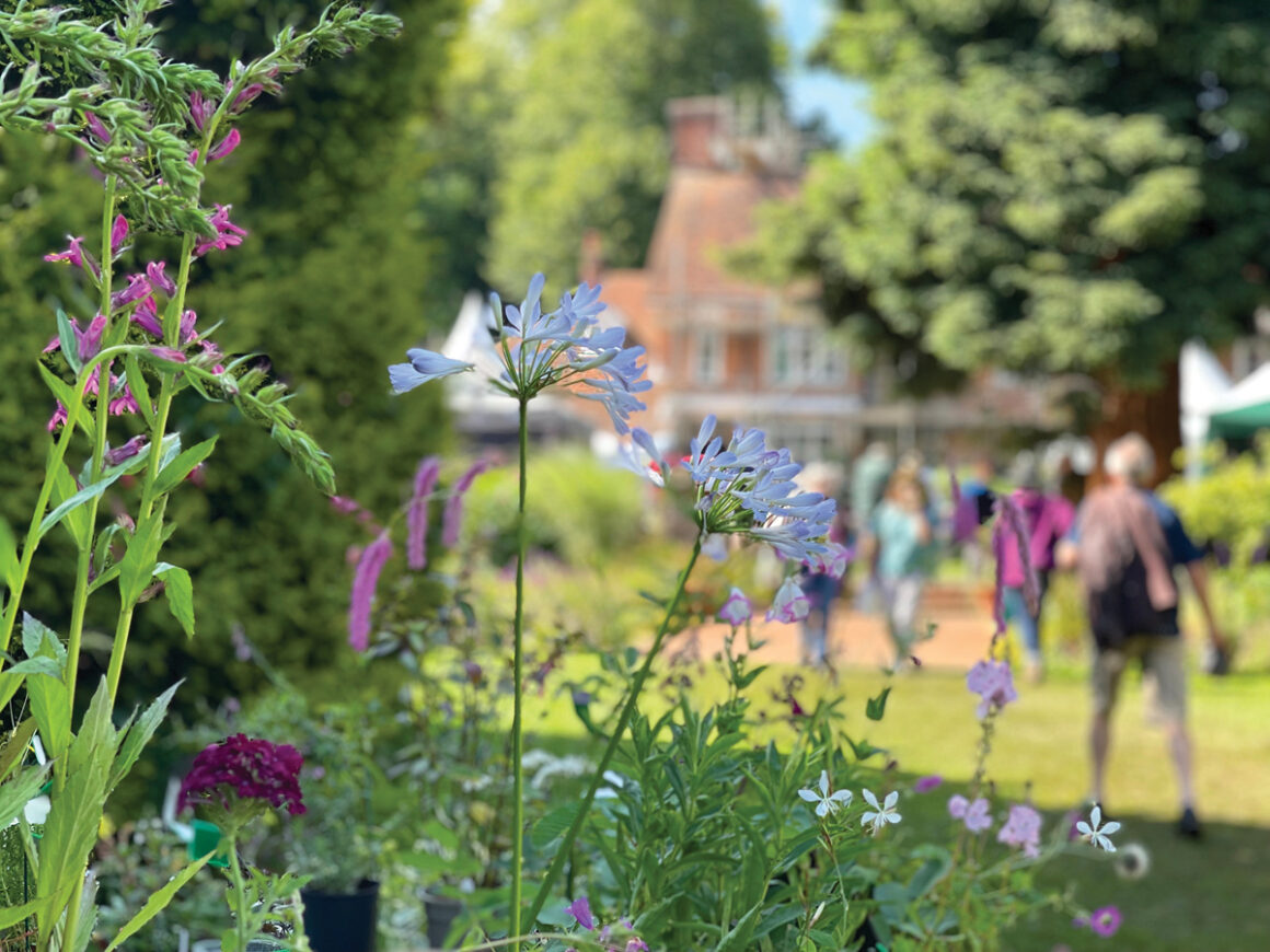 Great Comp Garden 2022: Summer Show Make Some Noise
bit.ly/3IsYDEV

#KENT #Sevenoaks #gardens #plants #localevents #englishgarden #Countryside