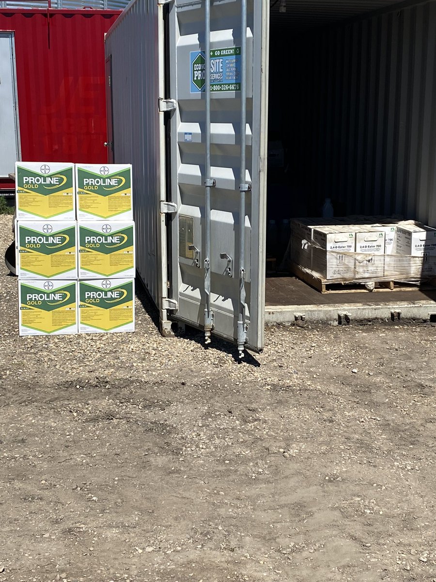 CORE_Strathmore's tweet photo. I love the time of year when I can bring the kids to scout fields. Todays lesson was head emergence timing for @Bayer4CropsCA #Prosaro and % flowering in canola for #ProlineGold https://t.co/DaXAQijCWO