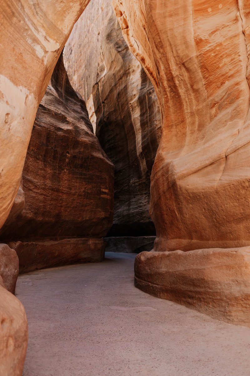 blogcomfortzone's tweet photo. When in Petra, Jordan 🇯🇴 #travelphotography https://t.co/e7UlBeyGXi