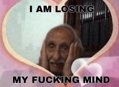 twde yeniyim de mutual ariyorum rtler misiniz veya rtlemeyin size kalmis her turlı flop kalcsm