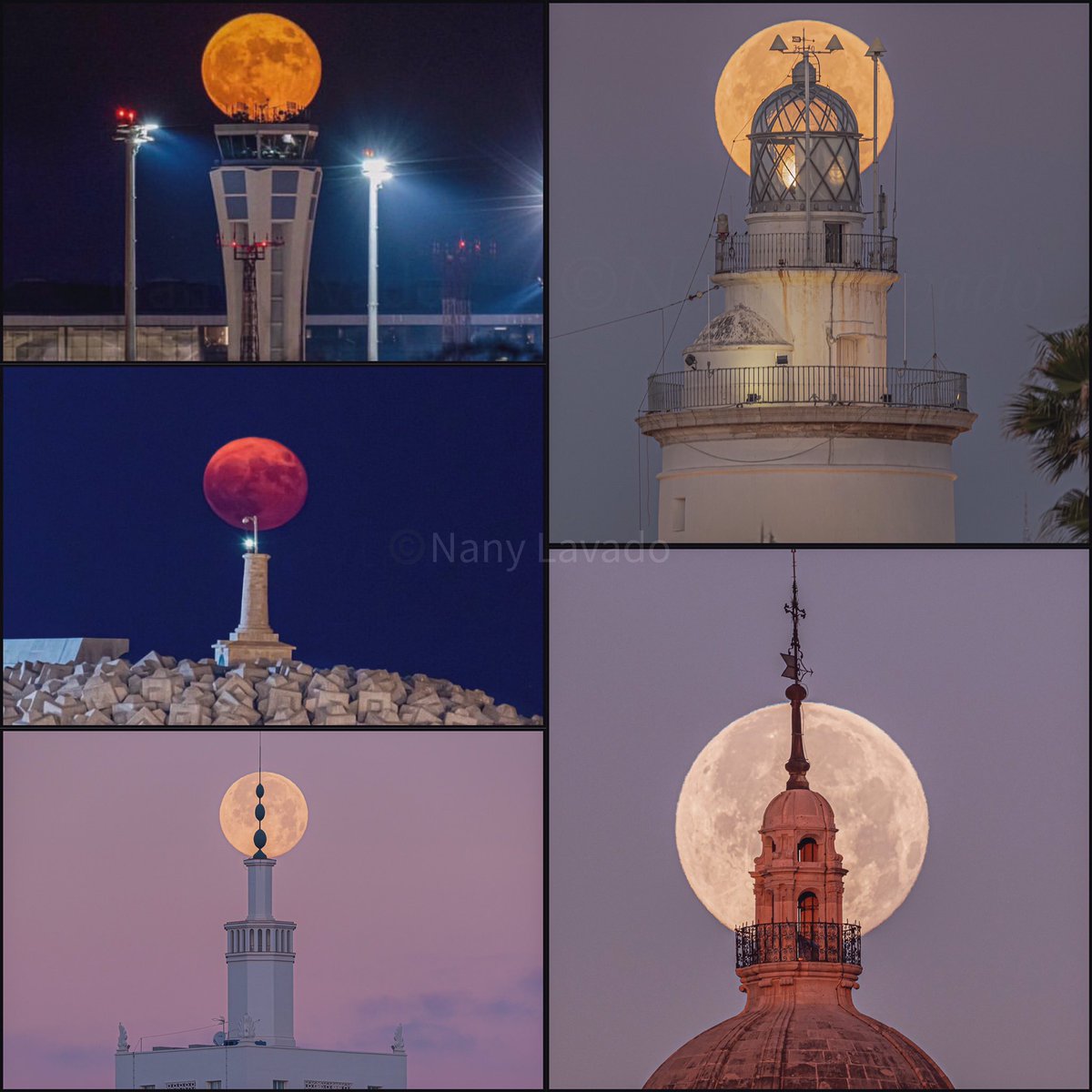 Lechuza inquieta (Nany Lavado) tweet media