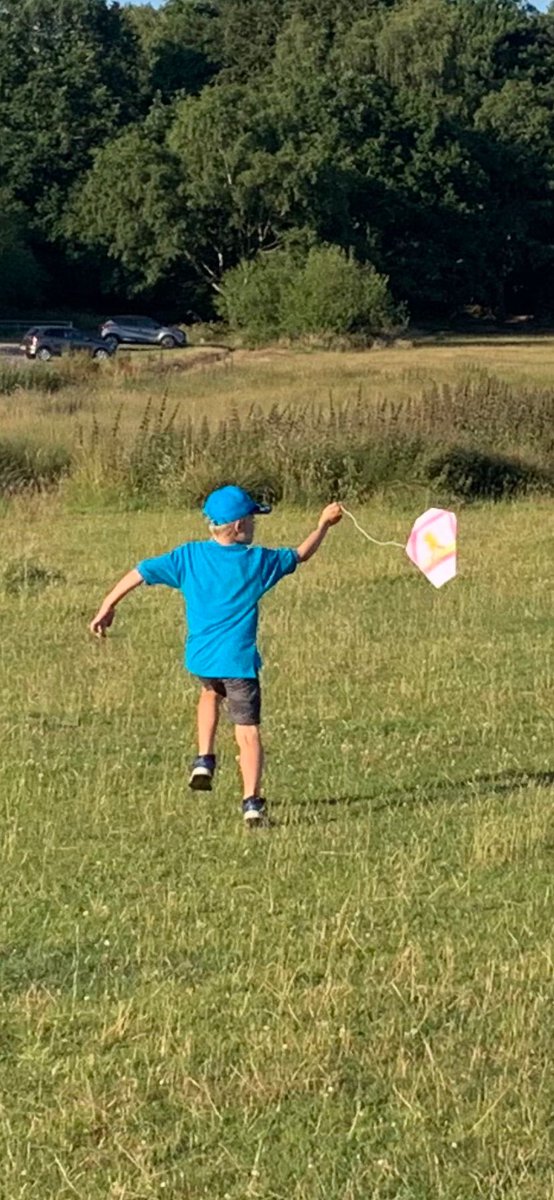 11th Sutton Coldfield East (St James Hill) tweet media