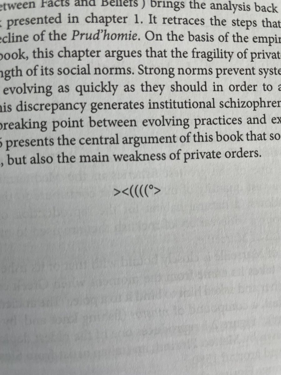 Kelsea Jeon tweet media