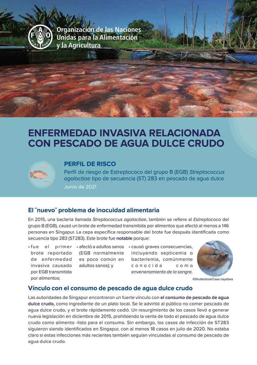 Risk profile - Group B Streptococcus (GBS) –​ Streptococcus agalactiae sequence type (ST) 283 in freshwater fish
fao.org/documents/card…
4 languages
<a href="/PaolaBarato/">Paola Barato</a>