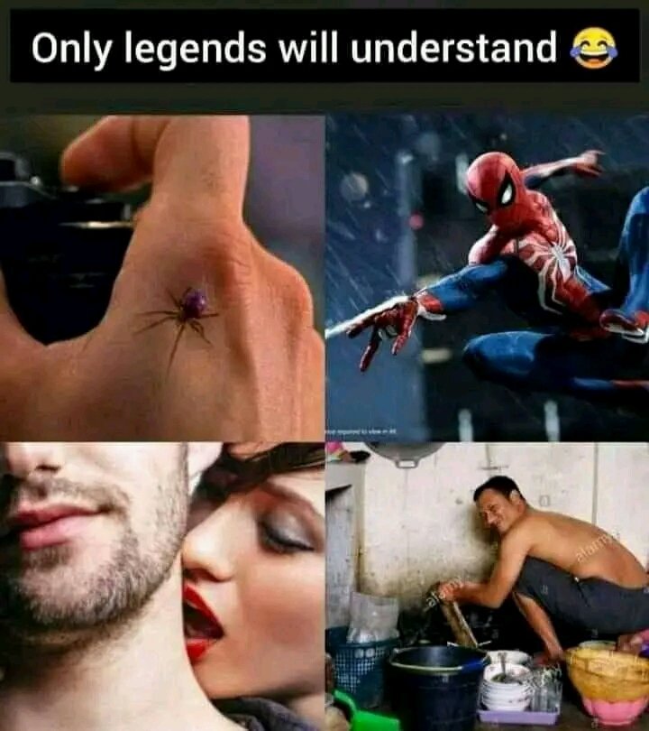 RegisRex2's tweet image. S'arrive  seulement aux cons 
😂😂😂😂😂😂😂😂