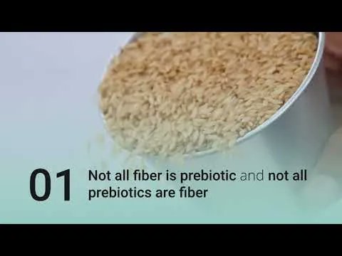 Here are 5 quick facts about prebiotics.

Let us know if you have questions about prebiotics and we'll get the facts for you.
buff.ly/3AFUDyU

#prebioticfacts #prebiotics #prebioticinfo #gpainfo #ingredients #functionalfood