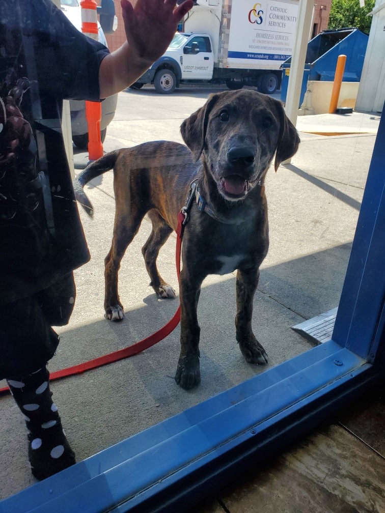 Nelson Labs tweet media