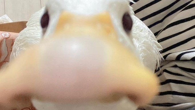 @emmac_cb https://t.co/qdM2hKqvYu<a class="tags" href="/tag/emmac_cb">@emmac_cb</a>