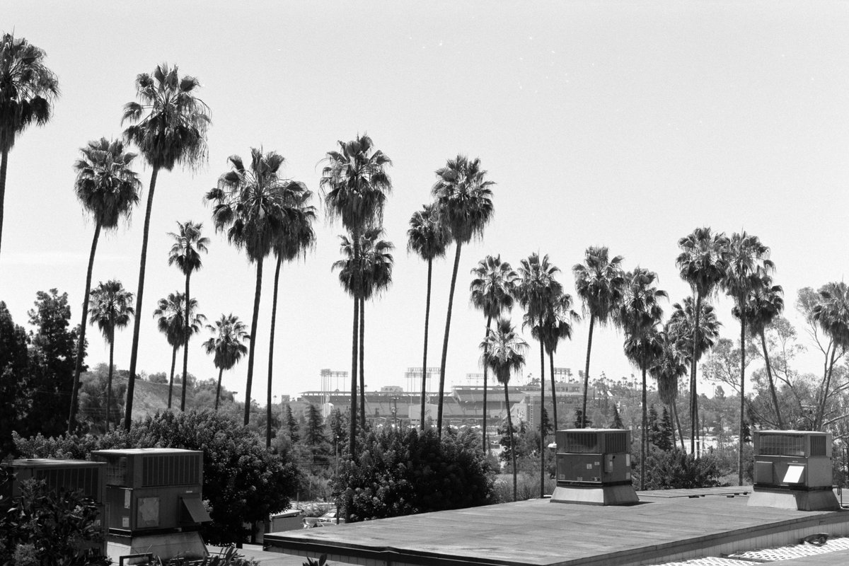 The view from the historic Elysian Park portion of your Los Angeles Police Academy couldn't be more LA. Palm tree and Dodger Stadium.