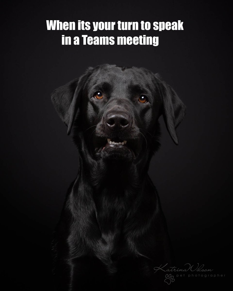 WoowPets's tweet photo. Funny Pets Quotes #pets #petstagram #petsofinstagram #petsagram #petsofig #petshop #petscorner #petsgram #petsitting #petsmart #petsitter #petsofinsta #petsoninstagram #petsarefamily #petslover #petsoriginal #petstore #petsofinstaworld #petsoftheday #petsupplies #petsvideo #Pets https://t.co/KsFRY2XajB