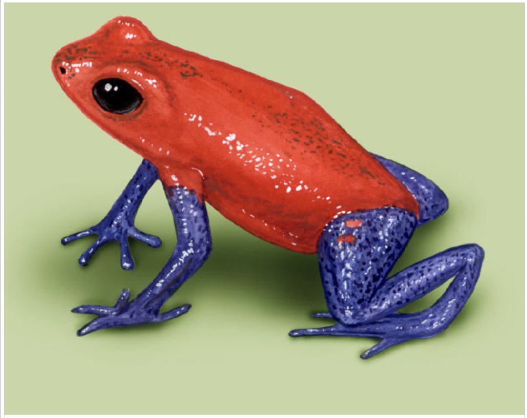 Jeth Rollins Odom tweet media