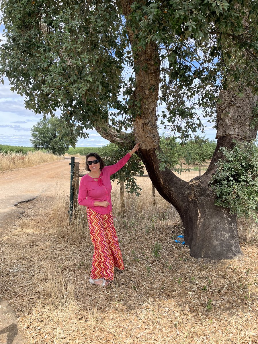 Loved experiencing the #Alentejo area of #Portugal - we savored, sipped, and enjoyed seeing #corkoaktrees and learning about and sampling #Erviderawine