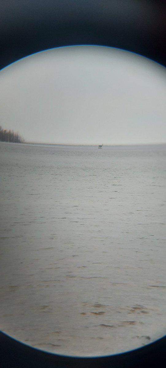ManitoulinSwim's tweet photo. We've spotted them from the landing location! https://t.co/wX95tJ3qr0