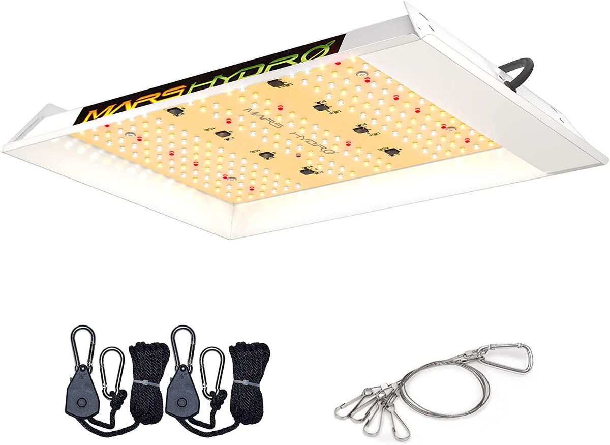 Dop3KinG's tweet photo. Giveaway time people
Up for grabs is a @MarsHydroLight 
#TS600 led grow light

Just like and retweet 
Must be following myself and @MarsHydroLight 

Winner will be picked 13/7 

Good luck everyone 💚
#marshydro #primeday #StonerFam #Mmemberville #CannabisCommunity https://t.co/pakEZMtgtC