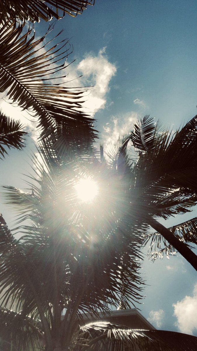 Mrs Wilkinson@ArtatNewmanRC tweet media