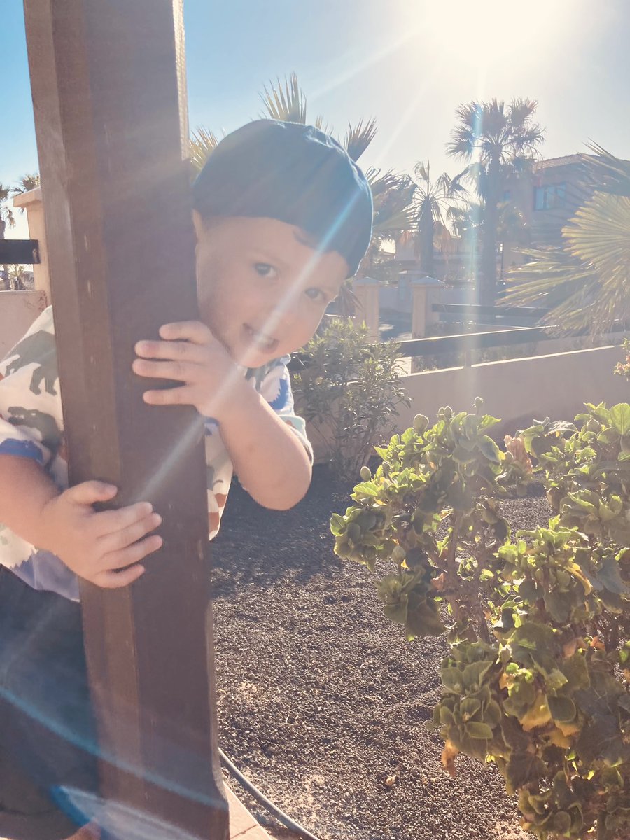 Now the sun is finally out I think it’s time for a Photography challenge. <a href="/NewmanRCCollege/">Newman Catholic College</a> Share your best sunshine photography! Here’s a few of mine! <a href="/ArtatNewmanRC/">Miss Hughes</a> <a href="/MrMcmylor/">MrMcmylor</a> #photography #summertime #twoweeks ☀️💜📸