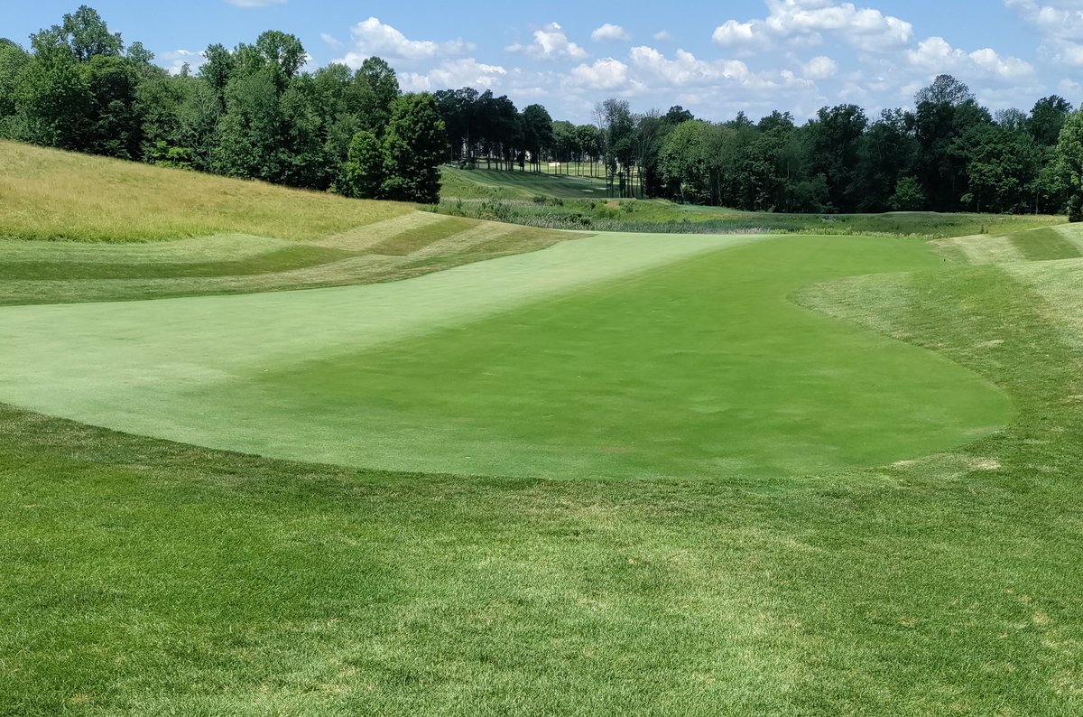 Glowing in the dust bowl today. Iron Plus lasts a month+