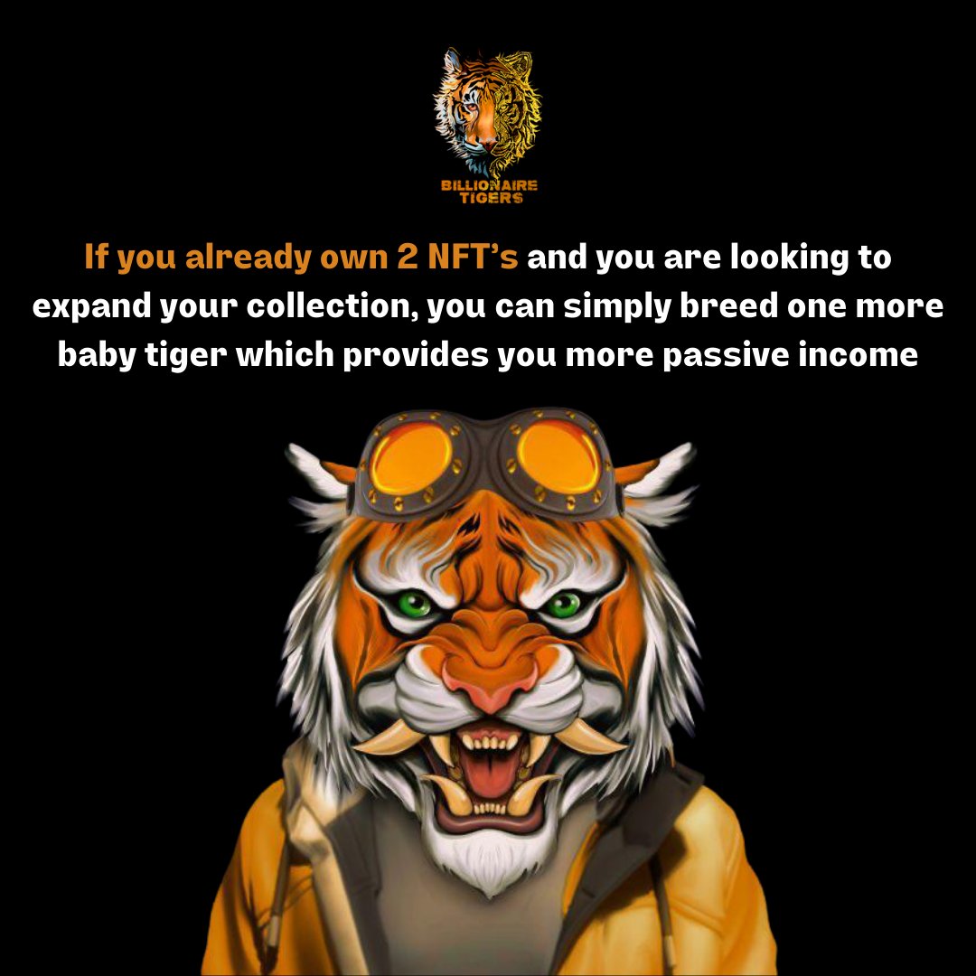 TigerBilionaire's tweet photo. Did you know?🐯

⚡If you already own 2 NFTs and you are looking to expand your collection, you can simply breed one more baby tiger which provides you with more passive income. https://t.co/jJqD85QfUf