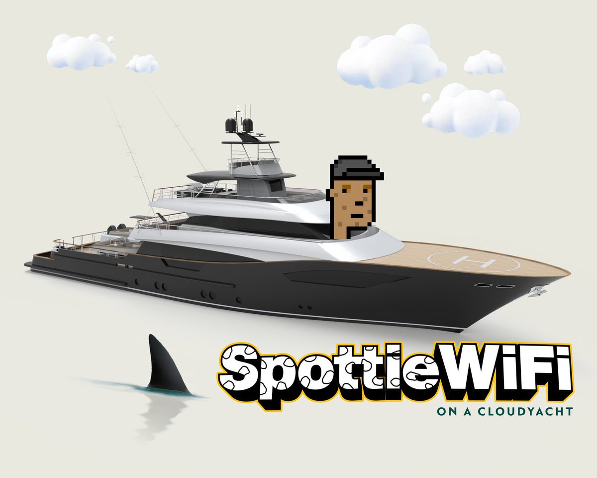 Spottie 🛜 tweet media