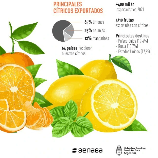 agriculturaar's tweet photo. CUIDAMOS LA CITRICULTURA ARGENTINA 🍊

En el último año se produjo un incremento récord en la exportación de cítricos argentinos.

Junto con el Senasa, trabajamos para sostener los niveles de calidad sanitaria y exigencias del mercado interno y el mundo. https://t.co/TMWObHvoD4