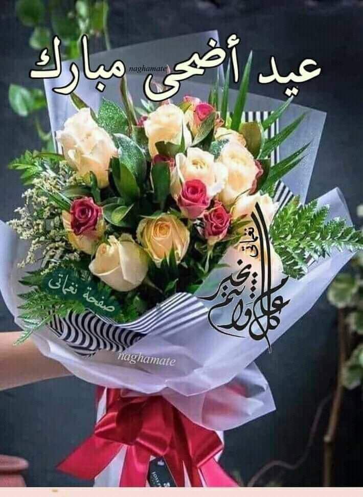 Q1jR7EkyoOusvBt's tweet photo. #تكريم_المتفاعلين #دعم_خاص 
👑👑👑👑
عندمآ يعانق الإبداع⭐
جمآل الأخلاق والذوق⭐
والرقي يكون للتميزعنوان⭐
كل ➰عام ➰وانتم➰بخير
👇🏻👇🏻👇🏻
اعضاء #كروب_فدك_الولائي
💎💎💎💎💎💫ابداع🌹
@hnaahh333 @alamanhnidinsi 
@Sabba7Ali @Zeinab05014497 @tooot_74 @lmyusuf12 @9AJIN1HlGF17Rpl https://t.co/3xQvZ617kc