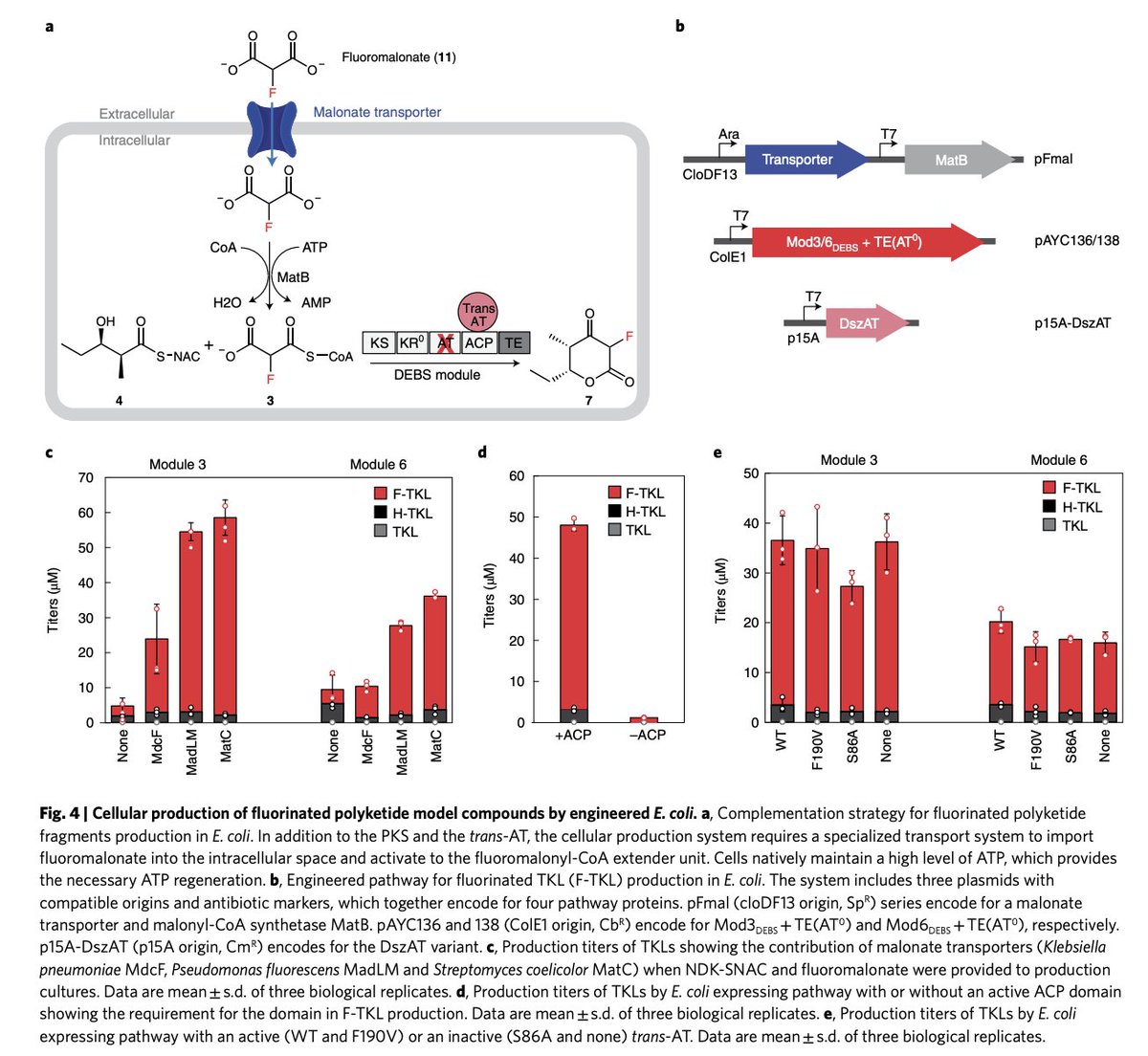 EnzymeChemistry's tweet photo. Engineering site-selective incorporation of fluorine into #polyketides by S. Sirirungruang, O. Ad, T. Privalsky, S. Ramesh, J. Sax, H. Dong, E. Baidoo, B, Amer, C. Khosla @Stanford_ChEMH @StanfordUChem, & M. Chang @MChangGroup @UCB_Chemistry in @nchembio https://t.co/Maq68x2GIF https://t.co/cUB9iKiqxR