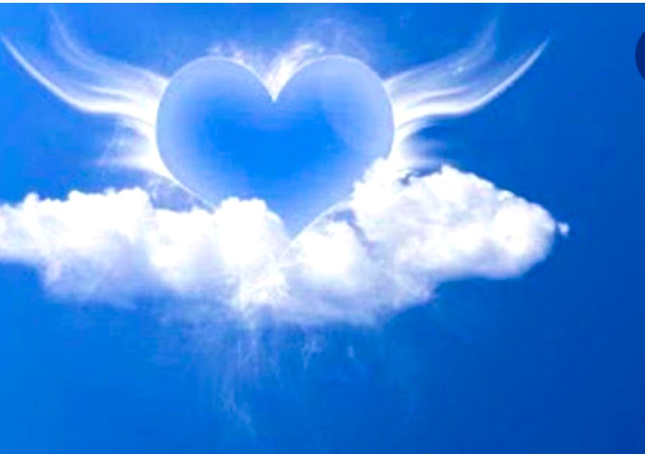 " وأطيرُ بكَ حُبّ من قِمّة إلى قِمّة "

🕊🤍🫶🏻