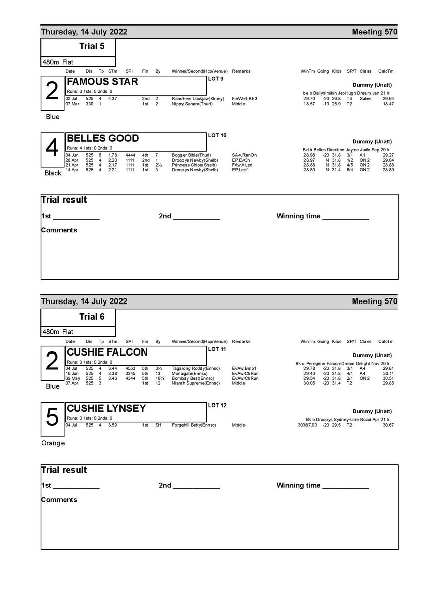AnIrGreySale's tweet photo. Catalogue for @Monmoredogs sale on Thursday 1/3 https://t.co/ISwRqDDrD7