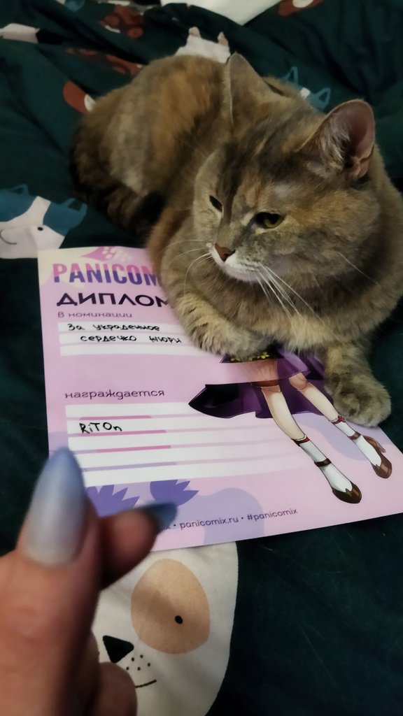 RitaTooO's tweet photo. От химического ожога и до клея момента в глазу. Неудачник или сумасшедший, неясно, за то в сердечке 🦋
//про дефиле вообще молчу, всё пошло не по плану, секунды с 10.. Прикольно побегала пострадала, говорили вторые
#Douma #童磨
#panicomix https://t.co/9JoeoOuMai