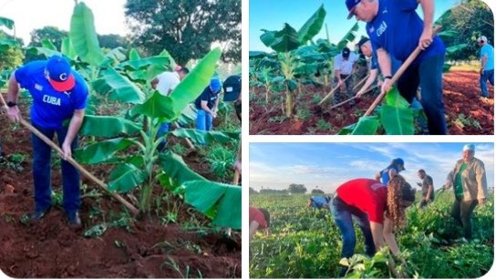 Yo sigo a mi Presidente.
<a href="/DiazCanelB/">Miguel Díaz-Canel Bermúdez</a>
<a href="/CapoNapoles/">Yanaisi Capó Nápoles</a>
#ProvinciaGranma
#municipiobartolomemaso
#CubaPorLaPaz