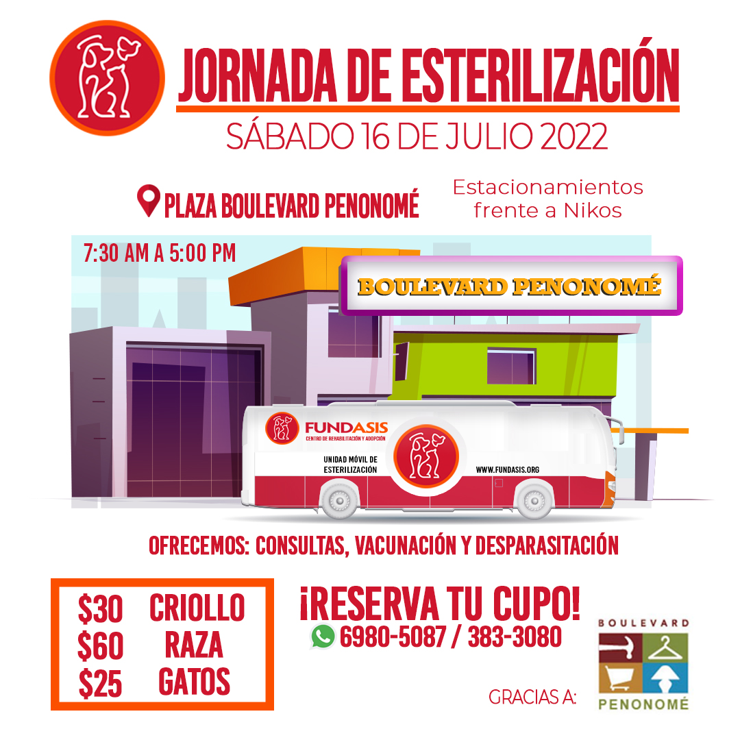 Fundación San Francisco de Asís ( FUNDASIS ) tweet media