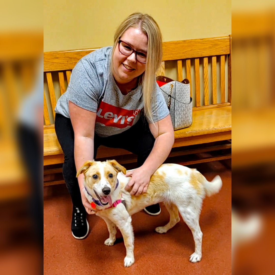 HARTforAnimals's tweet image. TuTu Finds Her Home
TuTu has found her forever friend and home and will be living a life of taking walks and relaxing by the lake! Tutu’s new life sounds awesome! Congrats!
⁣#adoptdontshop #rescuedismyfavoritebreed  #rescue #dogsofmd #deepcreeklake  #maryland  #deepcreekmd