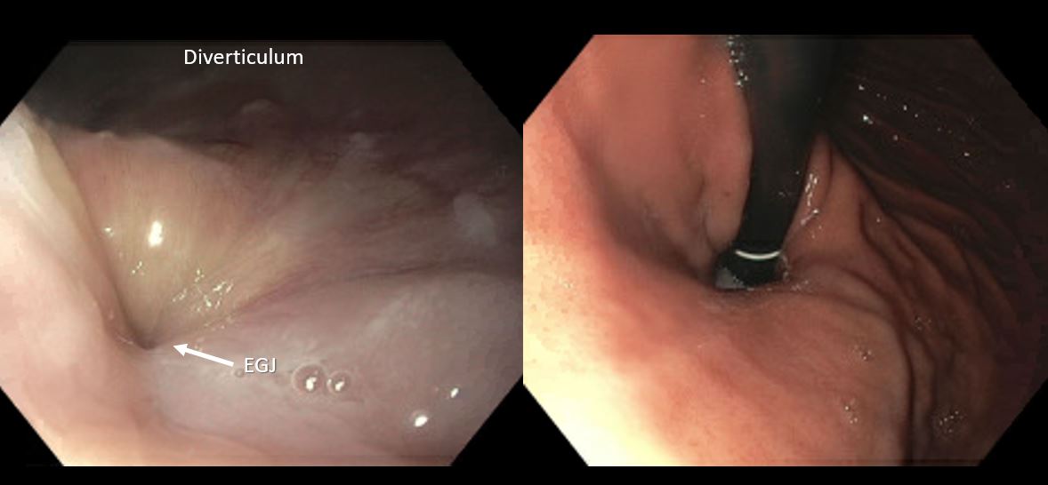 Jeff Conklin MD tweet media