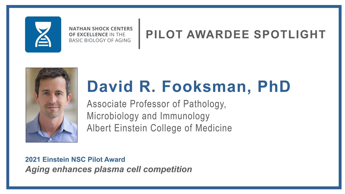 Nathan Shock Centers tweet media